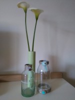 /album/galleria-fotografica/img-20150501-153532-jpg/