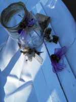 /album/galleria-fotografica/img-20160903-174453-jpg2/